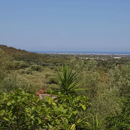 Trulli&dimore - Trulli Della Contessa וילה